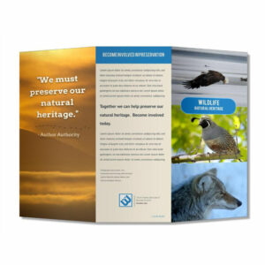 Wholesale Custom Factory Price A3 A4 A5 Size Promotional Color Booklet Advertising Brochure Leaflet Folded Flyer Printing